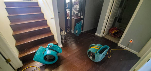 Best Local water damage restoration  in Williamsville, NY