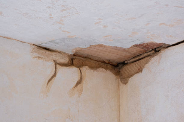 Best Sewage cleanup and water damage restoration  in Williamsville, NY
