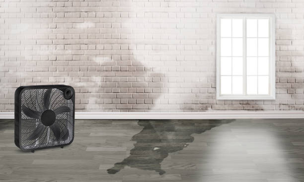 Best 24/7 water damage repair  in Williamsville, NY