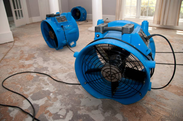 Best Emergency water damage restoration  in Williamsville, NY
