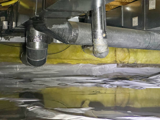 Best 24/7 water damage repair  in Williamsville, NY