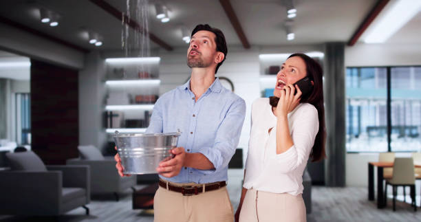 Best Basement water damage restoration  in Williamsville, NY
